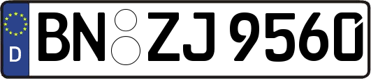 BN-ZJ9560