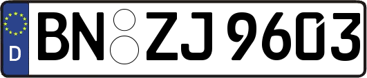 BN-ZJ9603