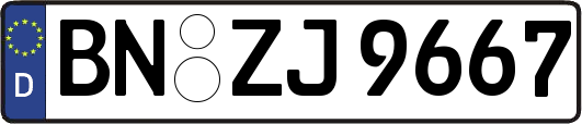 BN-ZJ9667