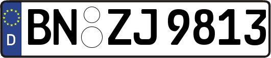 BN-ZJ9813