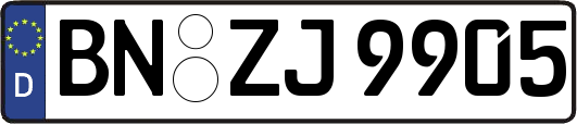 BN-ZJ9905