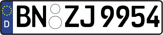BN-ZJ9954