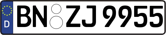 BN-ZJ9955