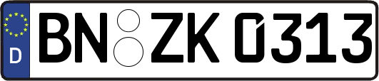 BN-ZK0313