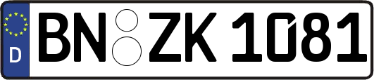 BN-ZK1081