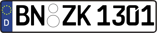 BN-ZK1301