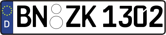 BN-ZK1302