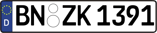 BN-ZK1391