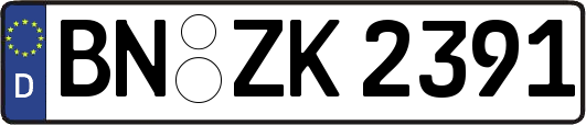 BN-ZK2391