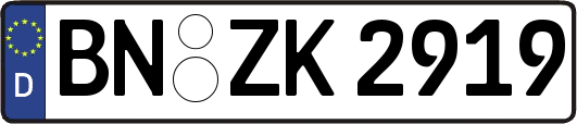 BN-ZK2919