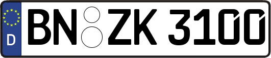 BN-ZK3100