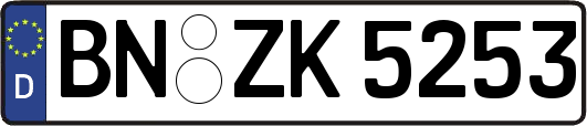 BN-ZK5253