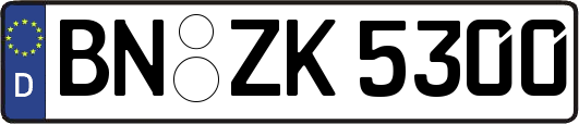 BN-ZK5300