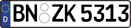 BN-ZK5313