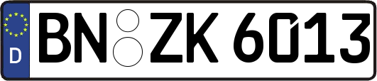 BN-ZK6013