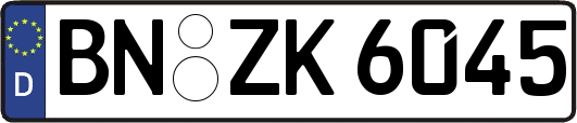 BN-ZK6045