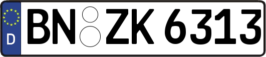 BN-ZK6313