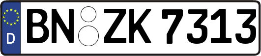 BN-ZK7313