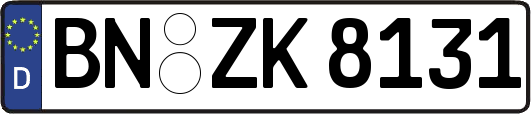 BN-ZK8131