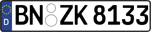 BN-ZK8133