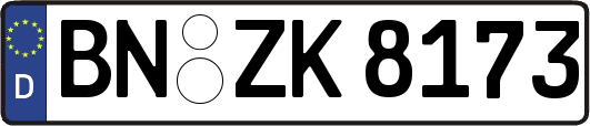 BN-ZK8173