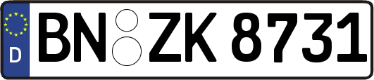 BN-ZK8731