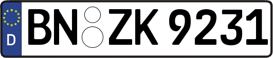 BN-ZK9231