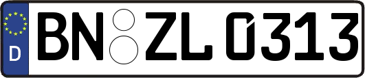 BN-ZL0313