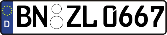 BN-ZL0667