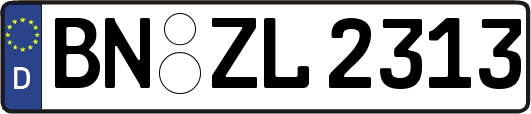 BN-ZL2313