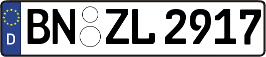 BN-ZL2917