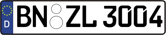 BN-ZL3004