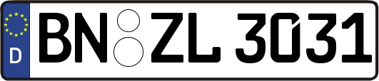 BN-ZL3031