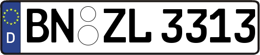 BN-ZL3313