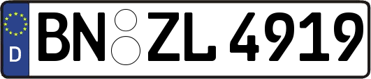 BN-ZL4919