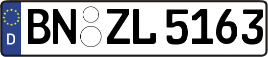 BN-ZL5163