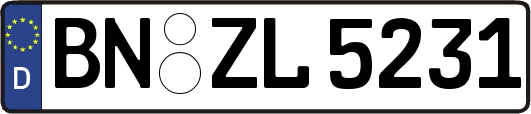 BN-ZL5231