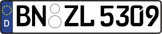 BN-ZL5309