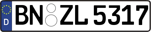BN-ZL5317