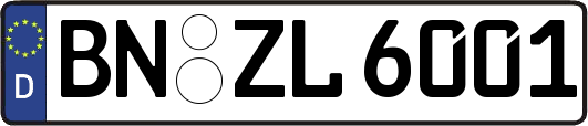 BN-ZL6001