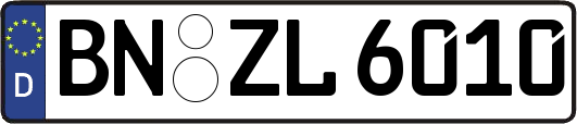 BN-ZL6010