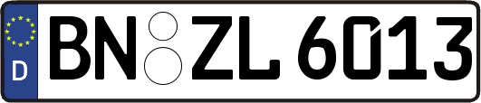 BN-ZL6013