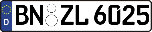 BN-ZL6025
