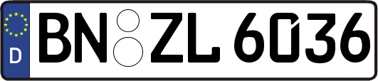 BN-ZL6036