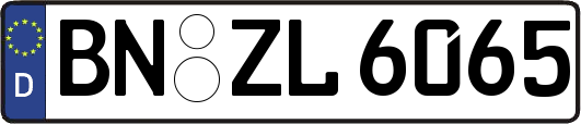 BN-ZL6065