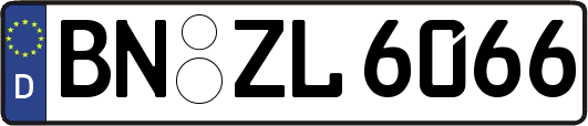 BN-ZL6066
