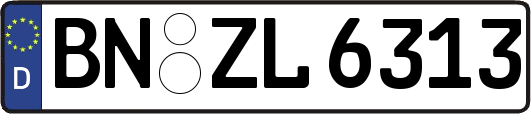 BN-ZL6313