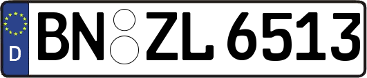 BN-ZL6513
