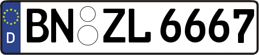 BN-ZL6667