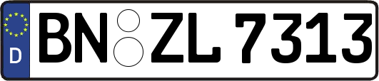 BN-ZL7313